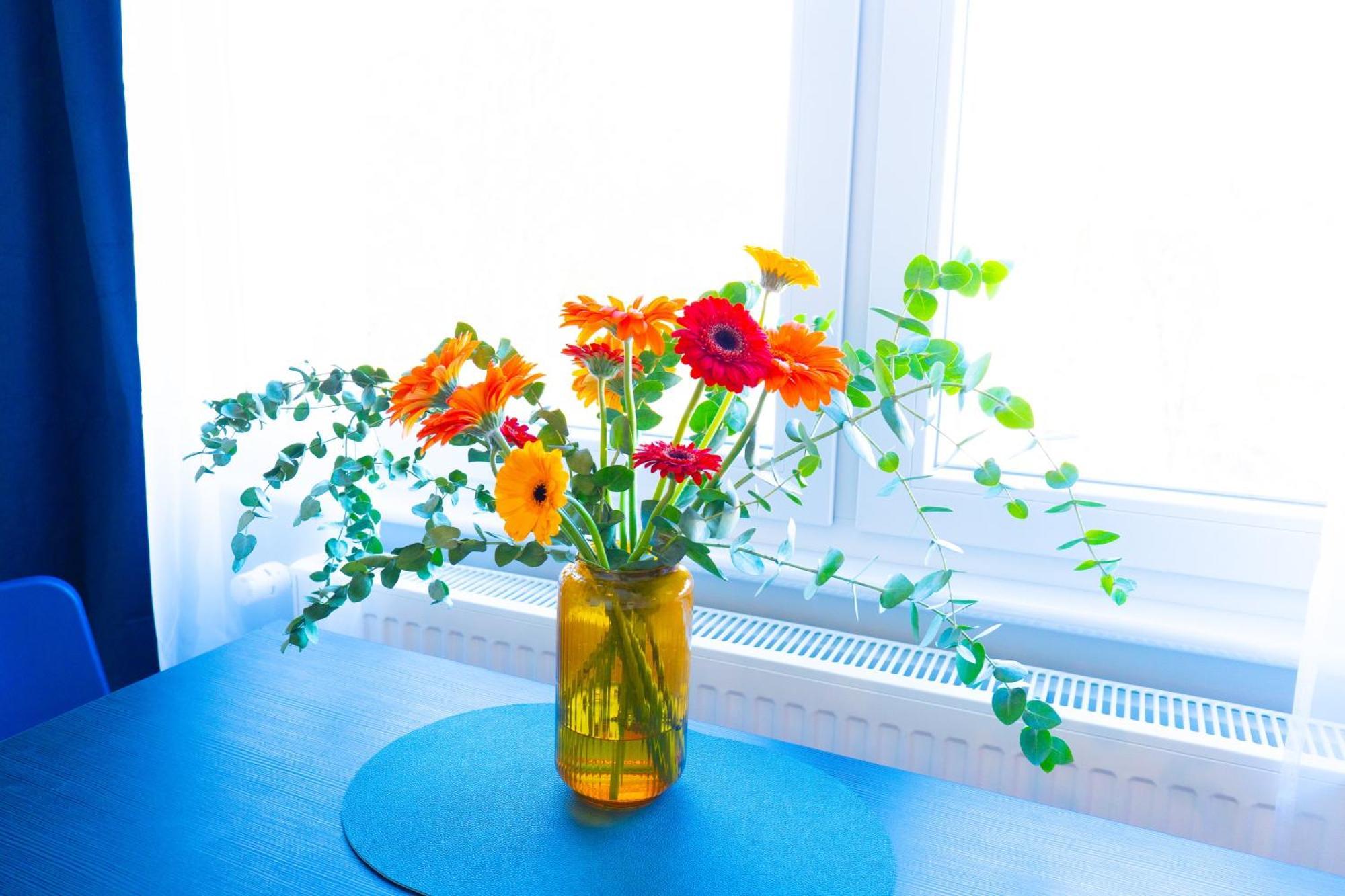 Appartamento Betterbeds Gelsenkirchen Esterno foto